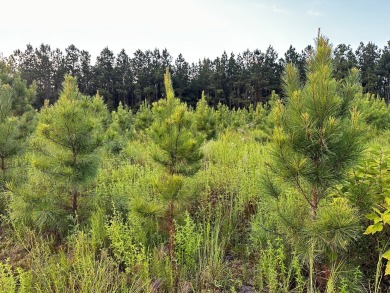 A gorgeous, large contiguous tract in the Avera community - photo 7