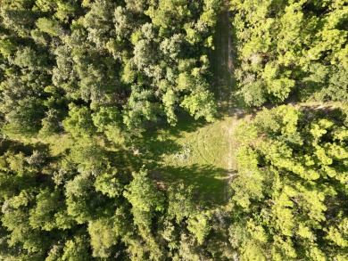 A gorgeous, large contiguous tract in the Avera community - photo 8