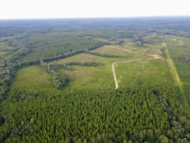 A gorgeous, large contiguous tract in the Avera community - photo 9
