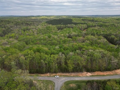 Welcome to Lot 177 in Eagle Pointe Shores nearly 3 acres located - photo 3
