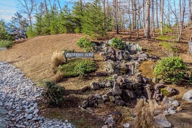 Welcome to Lot 177 in Eagle Pointe Shores nearly 3 acres located - photo 8