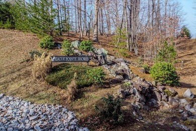 Welcome to Lot 177 in Eagle Pointe Shores nearly 3 acres located - photo 9