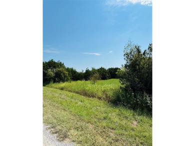 Lake Whitney Lot For Sale in Whitney Texas