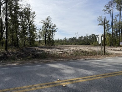 Prime commercial development opportunity located less than half - photo 4