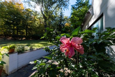 Down a long and winding private 1/4 mile country driveway, this - photo 38