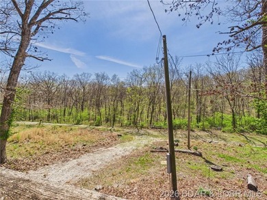 Trade the subdivision for the sound of silence at this 11+/- - photo 41