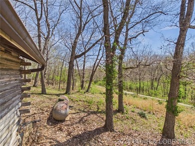 Trade the subdivision for the sound of silence at this 11+/- - photo 43