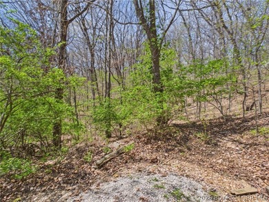 Trade the subdivision for the sound of silence at this 11+/- - photo 48