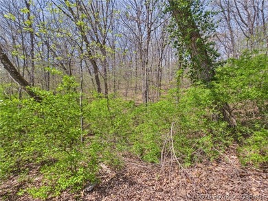 Trade the subdivision for the sound of silence at this 11+/- - photo 49