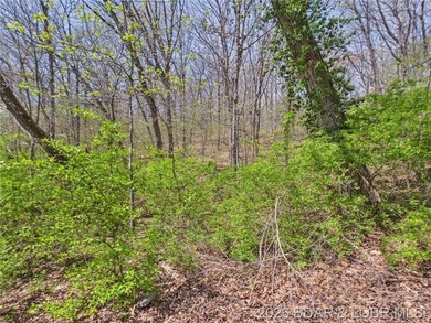 Trade the subdivision for the sound of silence at this 11+/- - photo 49