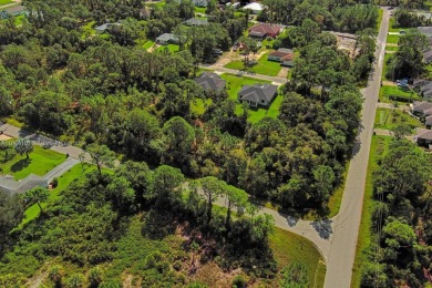 Northport Waterway Lakes and Canals Lot For Sale in North Port Florida