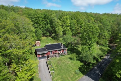Lake Home Sale Pending in Livingston Manor, New York