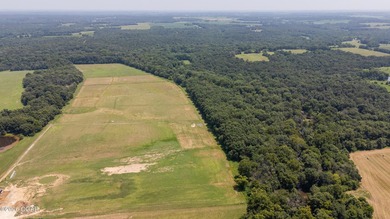 Discover an extraordinary opportunity to own 296+/- acres of - photo 10