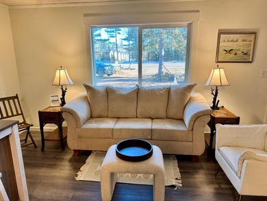 Newly renovated year-round cottage on the Eagle River Chain of - photo 12