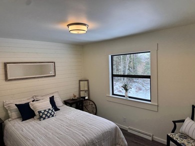 Newly renovated year-round cottage on the Eagle River Chain of - photo 16
