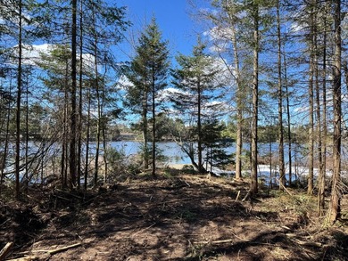 Newly renovated year-round cottage on the Eagle River Chain of - photo 23