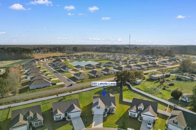 Welcome to 255 Lakota Loop, a home that offers the perfect blend - photo 35