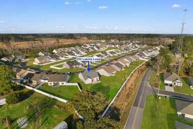 Welcome to 255 Lakota Loop, a home that offers the perfect blend - photo 38