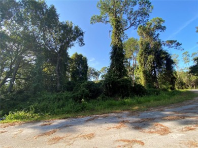 Bowers Lake Lot For Sale in Ocala Florida