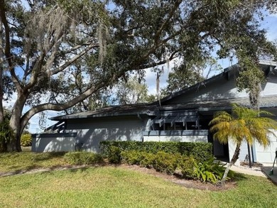 (private lake, pond, coastal) Home For Sale in Oldsmar Florida