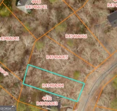 Lake Lot For Sale in Snellville, Georgia