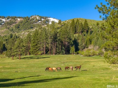 Embrace the timeless elegance of country living with this rare - photo 24