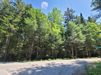 Beech Hill Pond Lot For Sale in Otis Maine