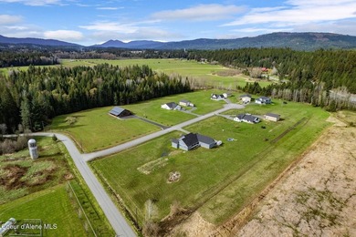 This newly built home sits on a large acreage lot in the heart - photo 7