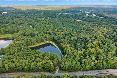 (private lake, pond, coastal) Lot Sale Pending in Fayetteville Georgia