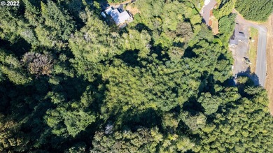 3.37 +/- ACRES OF RURAL OREGON PARADISE! Use this as the Canvas - photo 11