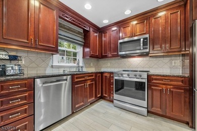 Welcome home to this beautifully maintained 4-bedroom bi-level - photo 14