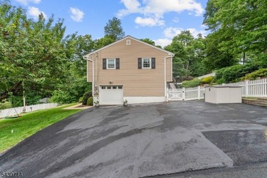 Welcome home to this beautifully maintained 4-bedroom bi-level - photo 32