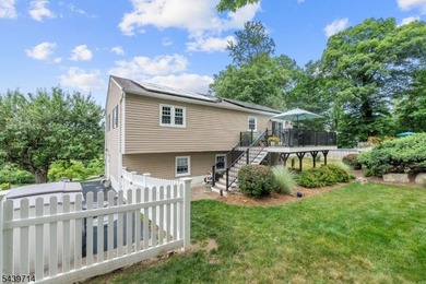 Welcome home to this beautifully maintained 4-bedroom bi-level - photo 33