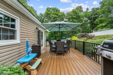 Welcome home to this beautifully maintained 4-bedroom bi-level - photo 38