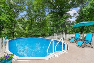 Welcome home to this beautifully maintained 4-bedroom bi-level - photo 41