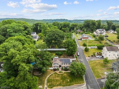 Welcome home to this beautifully maintained 4-bedroom bi-level - photo 43