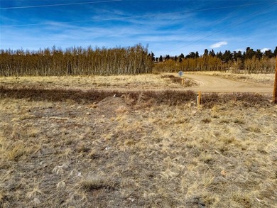 (private lake, pond, creek) Lot For Sale in Fairplay Colorado