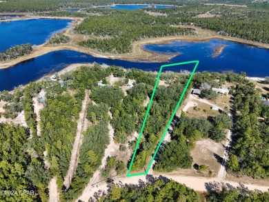 River Lake Acreage For Sale in Chipley Florida