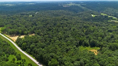 Rare opportunity near Lake Malone! Discover 36 acres of amazing - photo 4