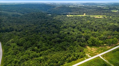 Rare opportunity near Lake Malone! Discover 36 acres of amazing - photo 8