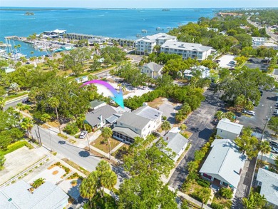 Amazing and rare opportunity in downtown Dunedin.   Located in - photo 2
