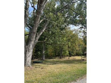 Chippewa Lake Lot For Sale in Chippewa Lake Ohio