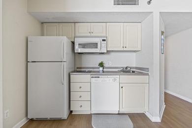 Experience coastal living from this furnished 11th-floor - photo 12