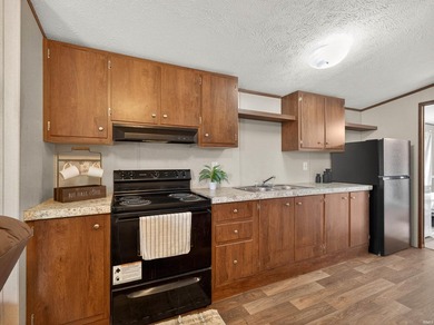 Move right in and start enjoying summer at Dewart Lake! Sold - photo 13