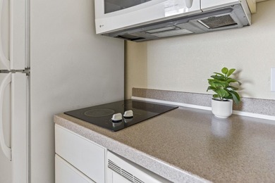 Experience coastal living from this furnished 11th-floor - photo 14