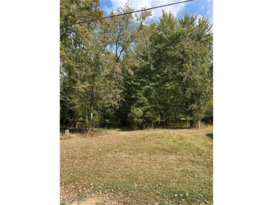 Chippewa Lake Lot For Sale in Chippewa Lake Ohio