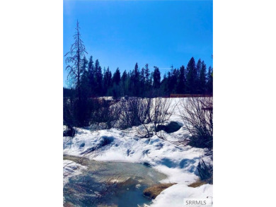 Lake Acreage For Sale in Ashton, Idaho