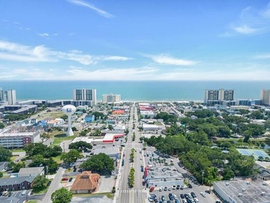 This is the kind of property that makes short-term rental - photo 46