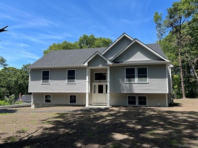 Brand-new Raised Ranch currently under construction! A model - photo 1