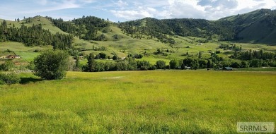 Salmon River - Lehmi County Acreage For Sale in North Fork 